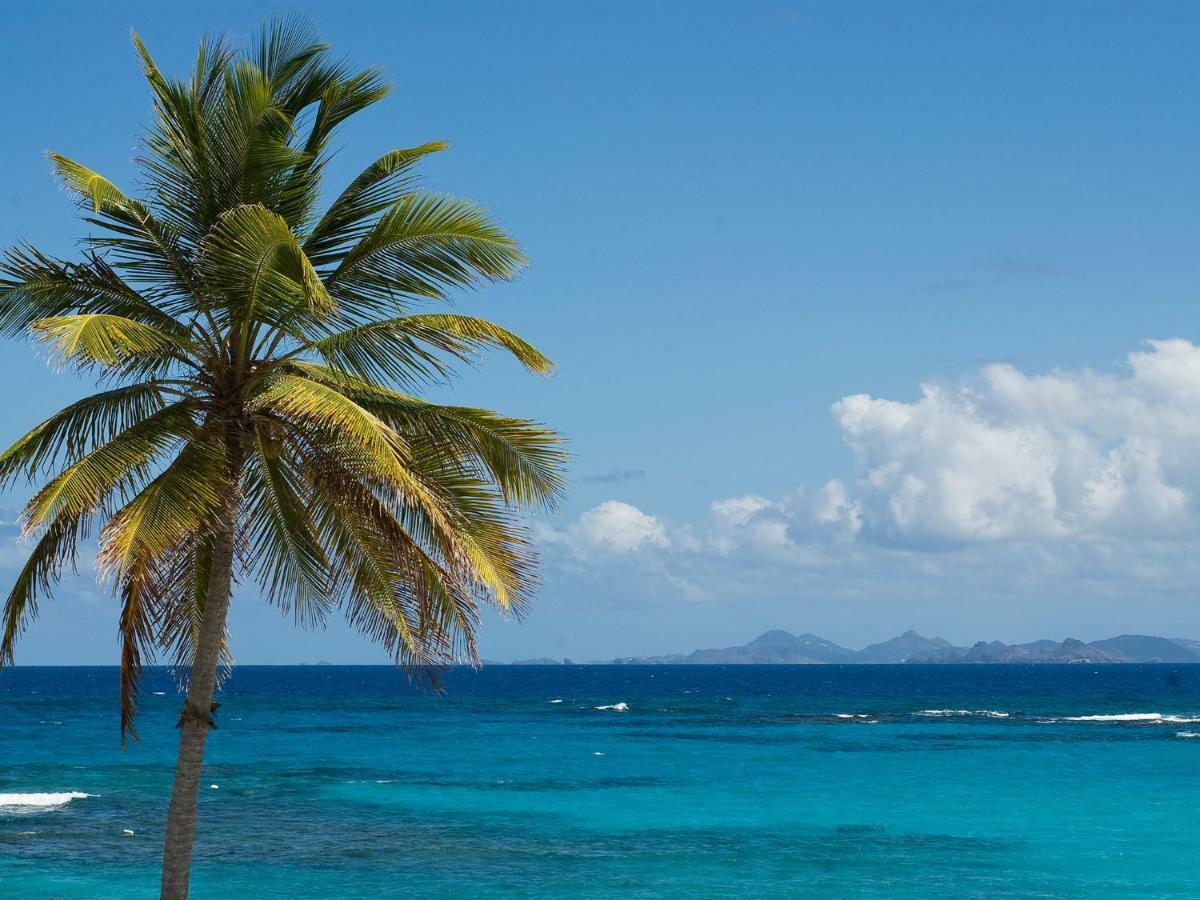 Coral Beach Club Villas & Marina Sint Maarten Luaran gambar